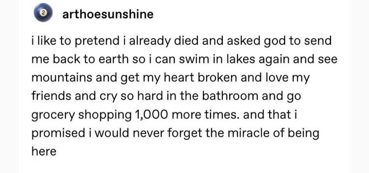 i like to pretend i already died and asked god to send me back to earth so i can swim in lakes again and see mountains and get my heart broken and love my friends and cry so hard in the bathroom and go grocery shopping 1,000 more times. and that i promised i would never forget the miracle of being here